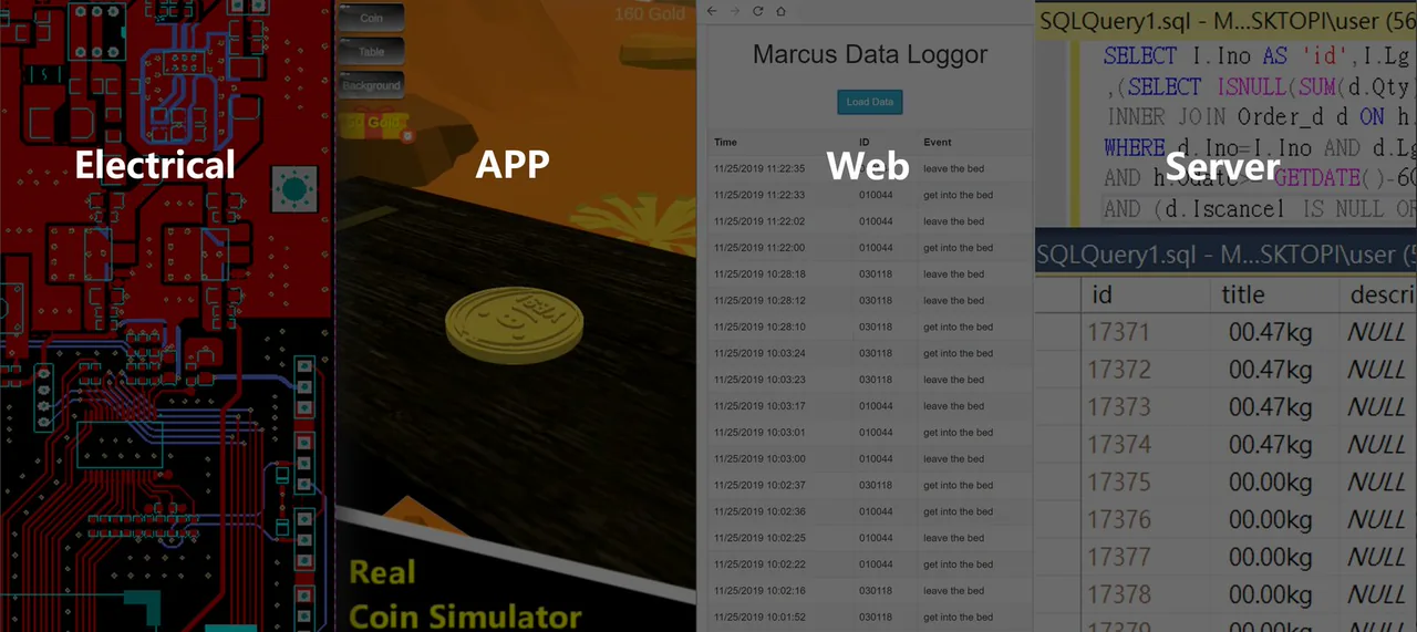 Four areas of work: Electrical (PCB design), App, Web and Server